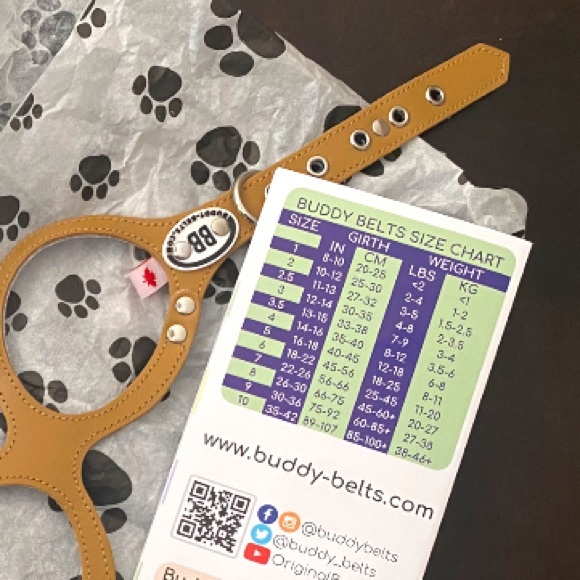 New Buddy Belt Leather Dog Harness Size 3 4-8 lbs - Picture 3 of 6